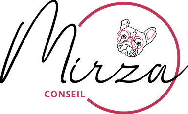 Logo Mirza Conseil
